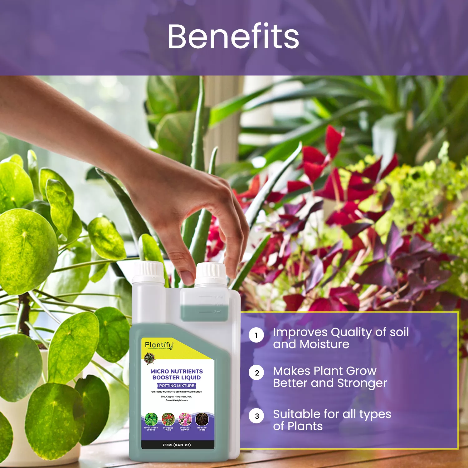 Plantify Micro Nutrients Booster Liquid for Healthy Roots & Leaves - Image 3