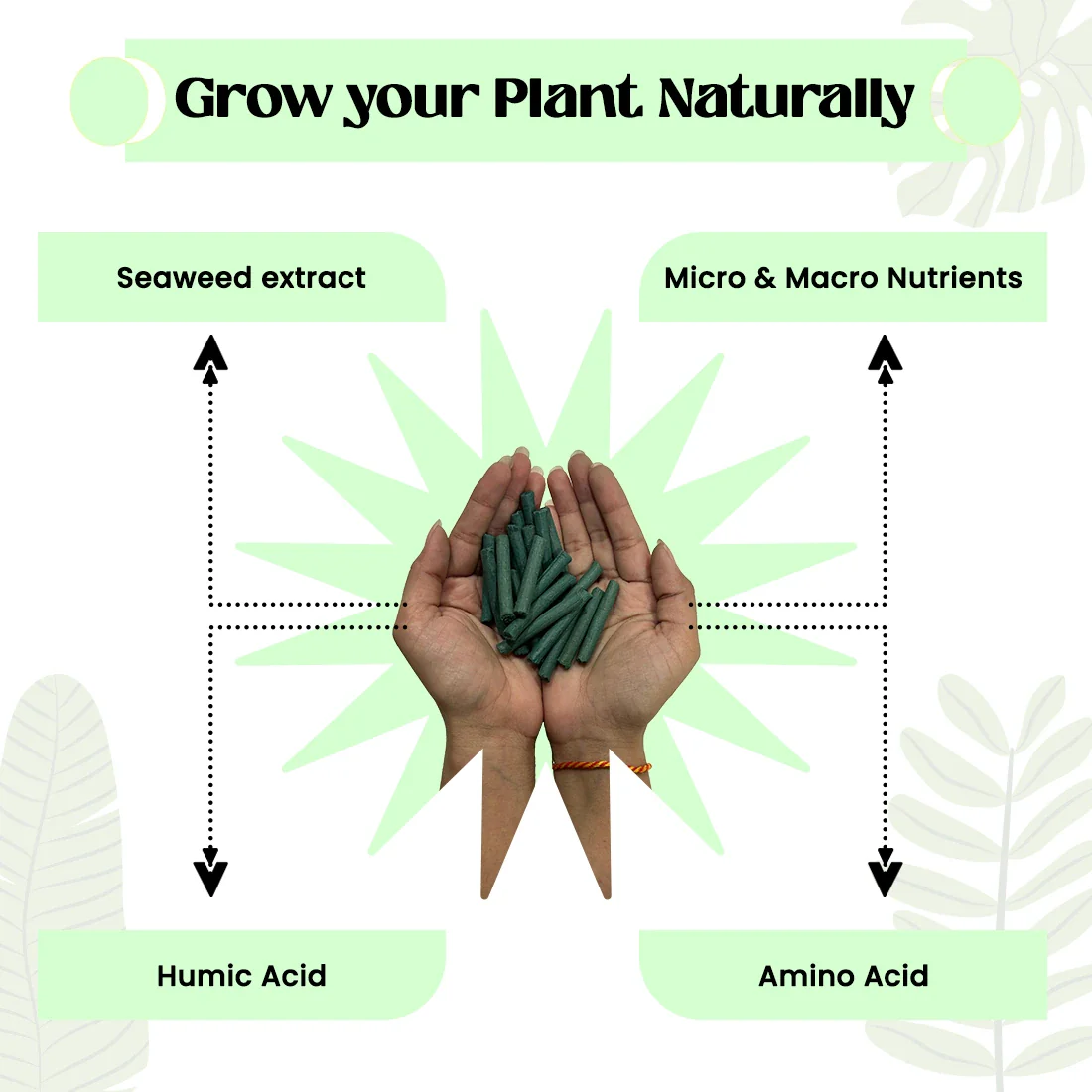 Plantify Plant Food Sticks - Organic Indoor Plant Nutrition - Image 3